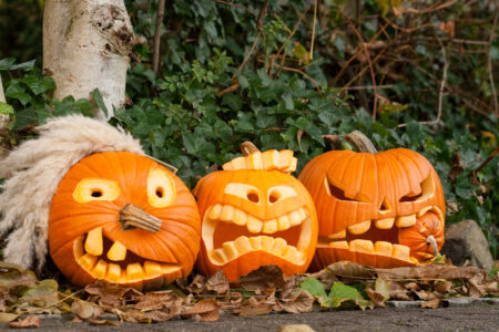 zucca halloween