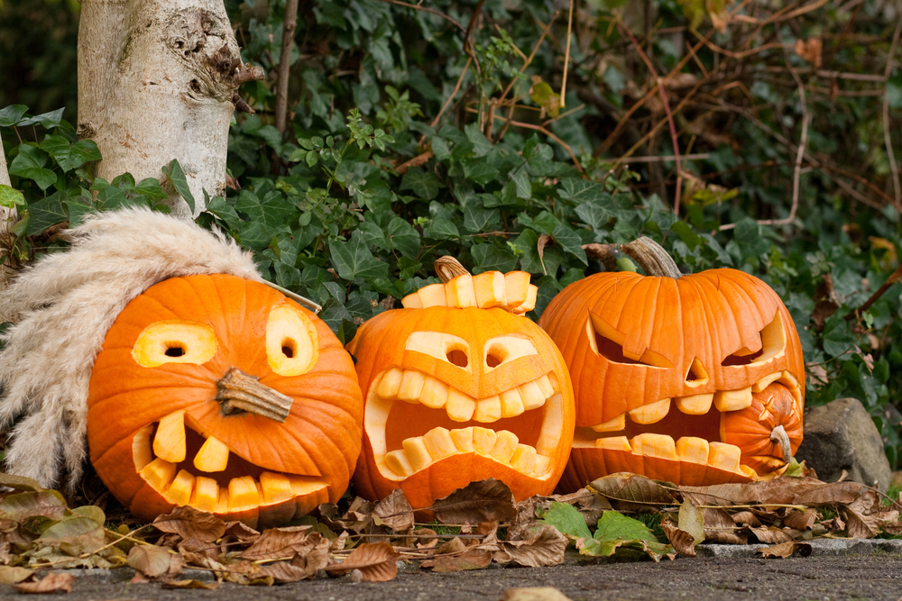 zucca halloween