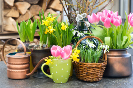 filastrocche di primavera