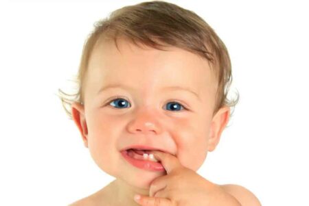 dentini